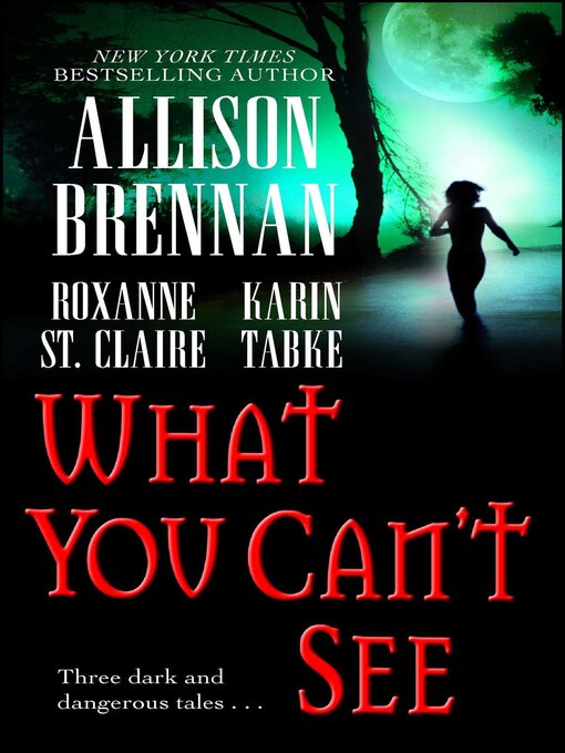 Title details for What You Can't See by Allison Brennan - Available